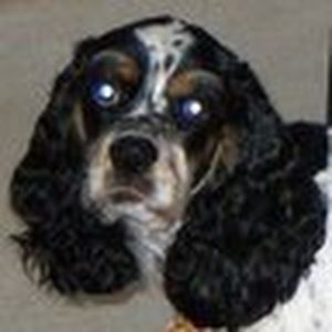 Meet your Posher, Cassie